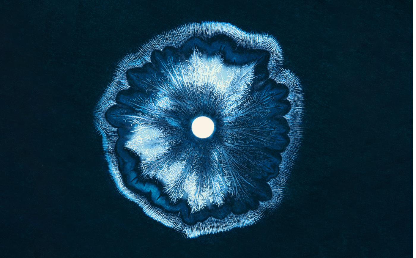 Circular frost-blue key art for The Dark festival